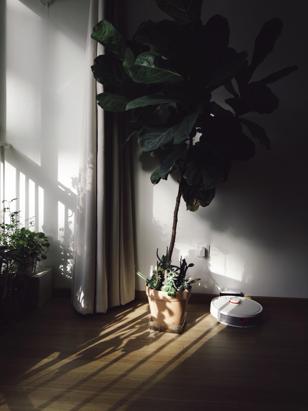 范例图